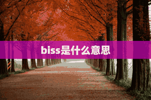 biss是什么意思(biss是什么意思网络用语)